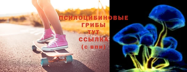 СК Алексин