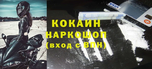 СК Алексин