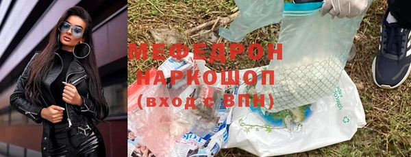 СК Алексин