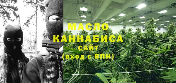 СК Алексин