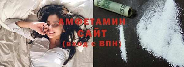 СК Алексин