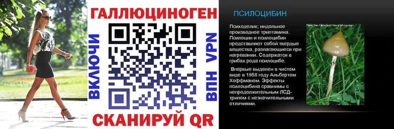 купить закладку  ссылка на мегу зеркало  Псилоцибиновые грибы Cubensis  Апшеронск 
