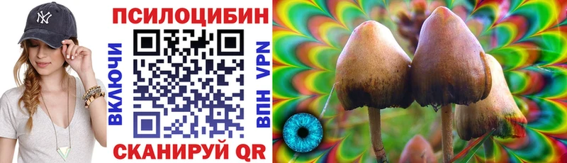 Галлюциногенные грибы Psilocybe Апшеронск